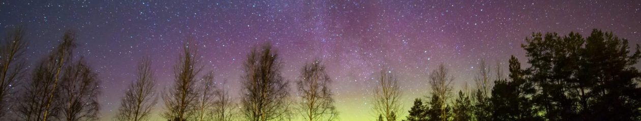 Karin Maria Voice & Soul